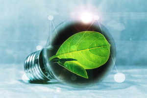 light-bulb-leaf-chlorophyll-green-preview